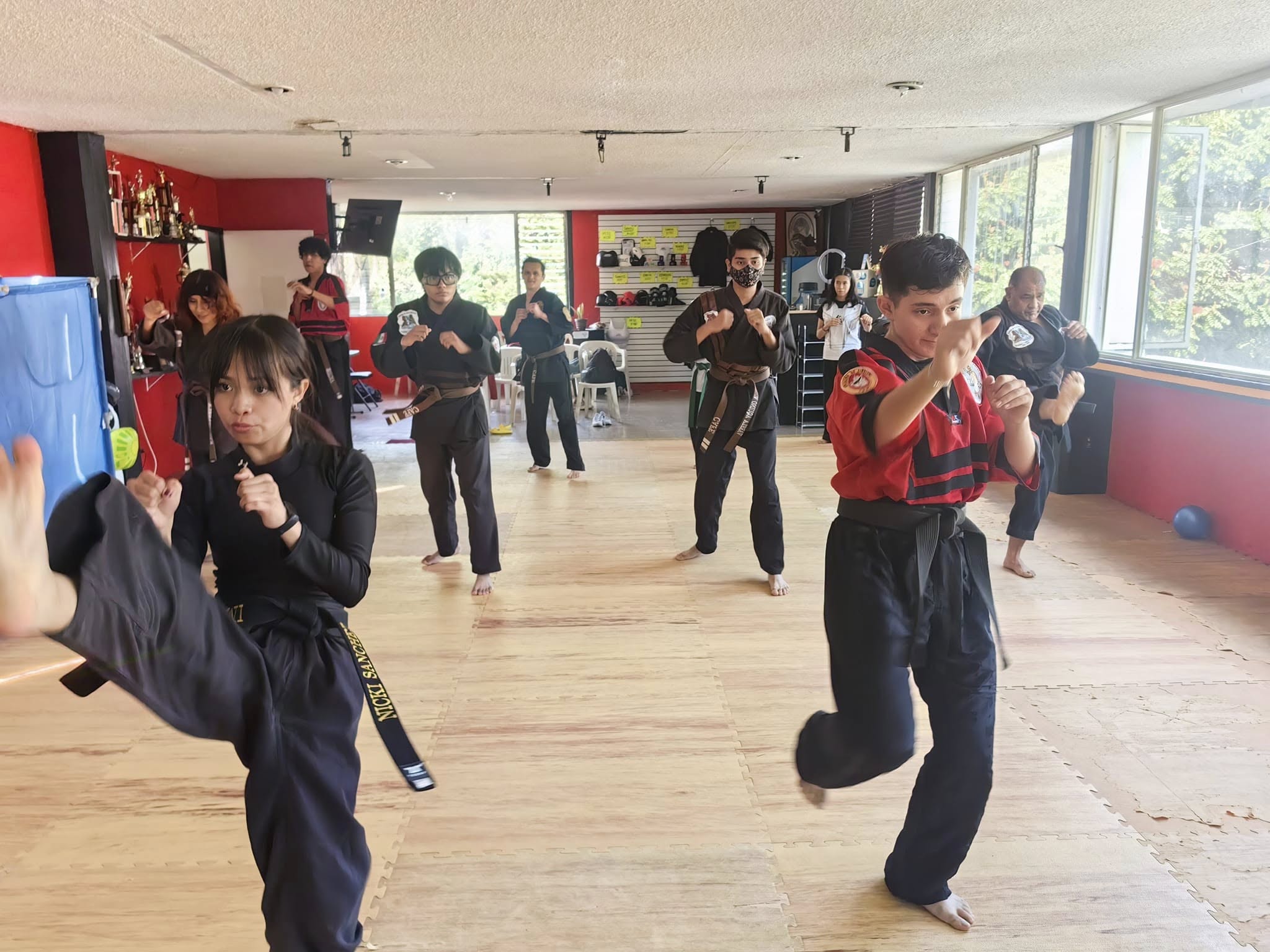 Práctica real de defensa personal en el dojo